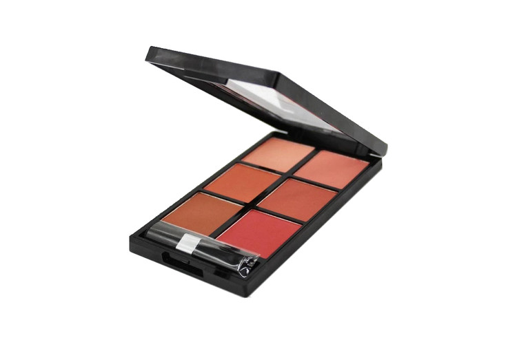 پالت رژگونه شش رنگ رمانتیک برد مدل 6B V-Face Beauty Looks Blush Palette Perfect Tint کدC
